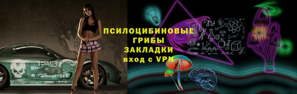 бошки Краснослободск