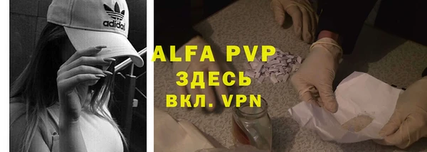 шишки Рославль