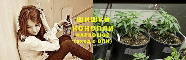 spice Ростов